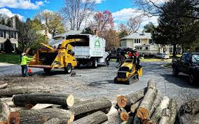Best Storm Damage Tree Cleanup  in Iona, ID
