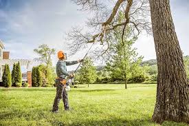 Best Lawn Renovation and Restoration  in Iona, ID